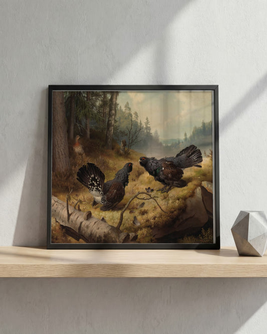 Ferdinand von Wright - Fighting Capercaillies - framed print in a styled room