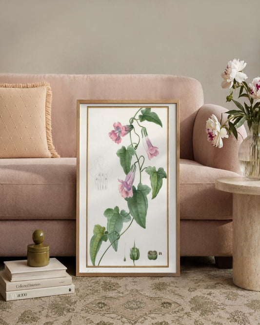 Pancrace Bessa - (Botanical: Maurándia semperflorens) - framed print in a styled room
