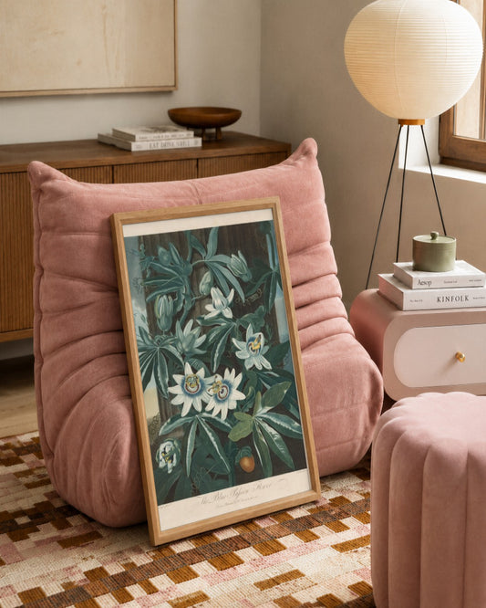Robert John Thornton - The Blue Passion-flower - framed print in a styled room