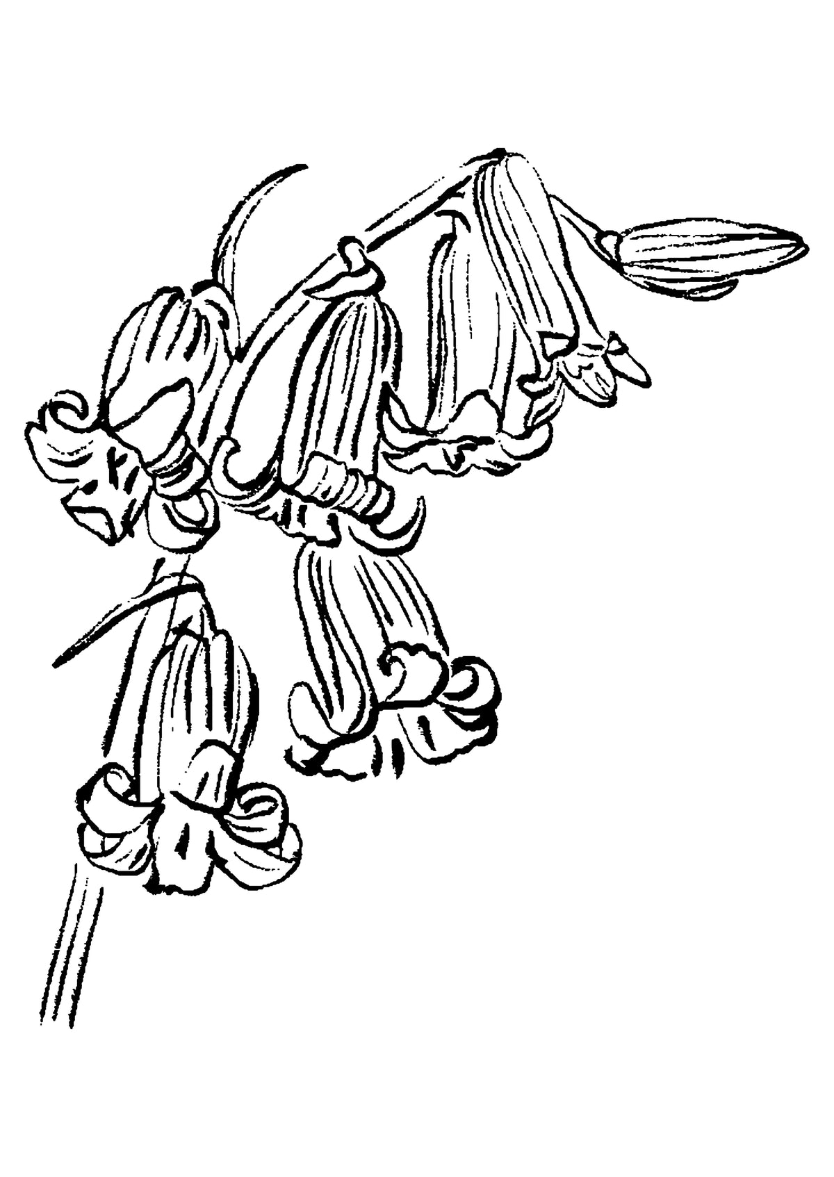 SENT Studio - Blooming Flowers Poster No. 34