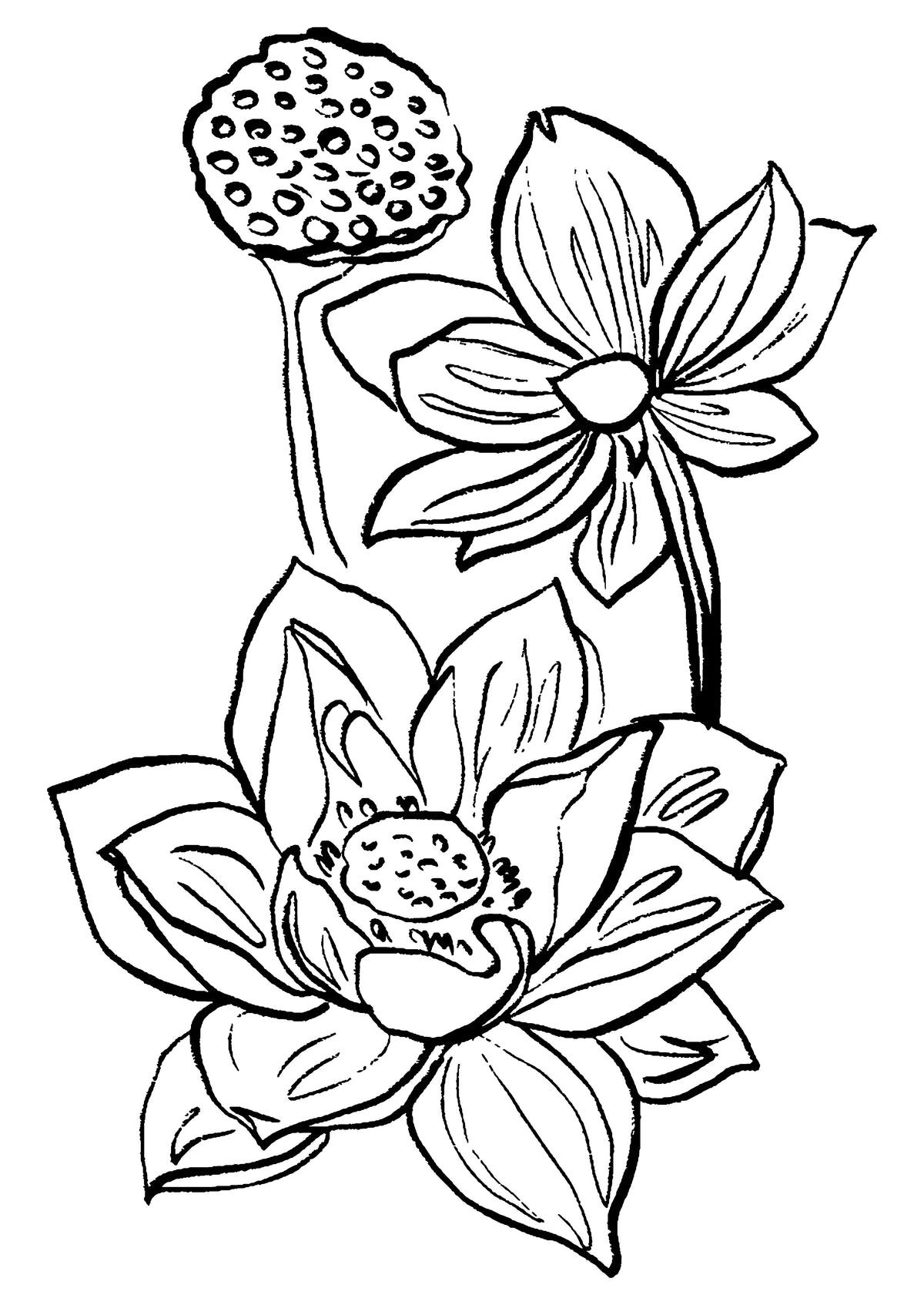 SENT Studio - Blooming Flowers Poster No. 9