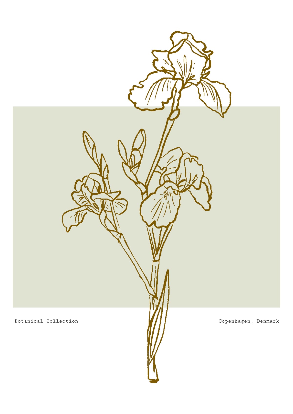SENT Studio - Blooming Flowers Poster No. 54