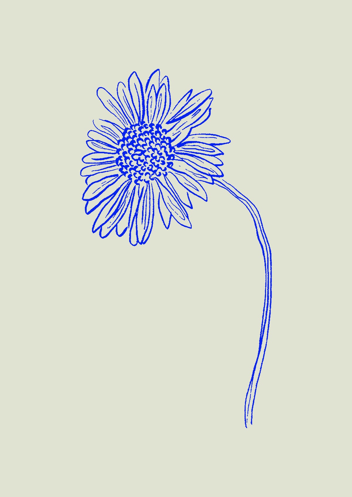 SENT Studio - Blooming Flowers Poster No. 56