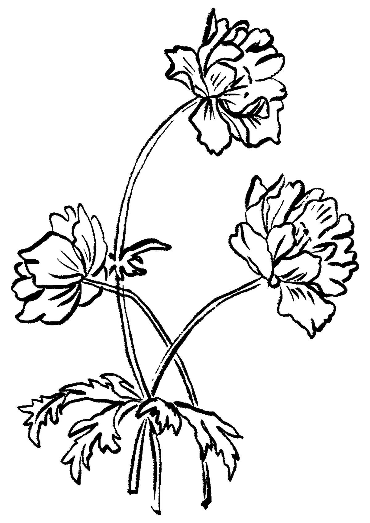 SENT Studio - Blooming Flowers Poster No. 10