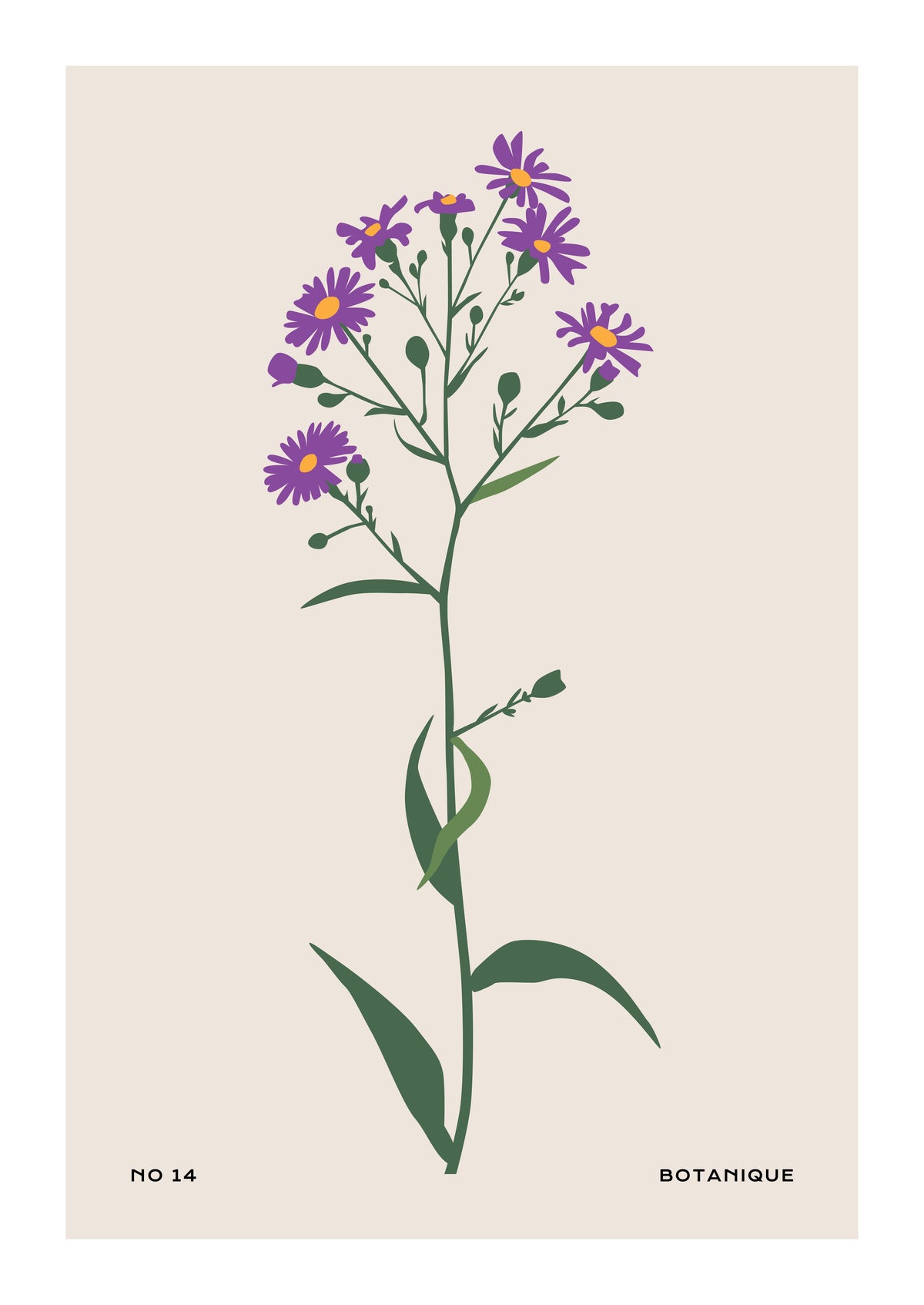 SENT Studio - Botanical Poster No. 6