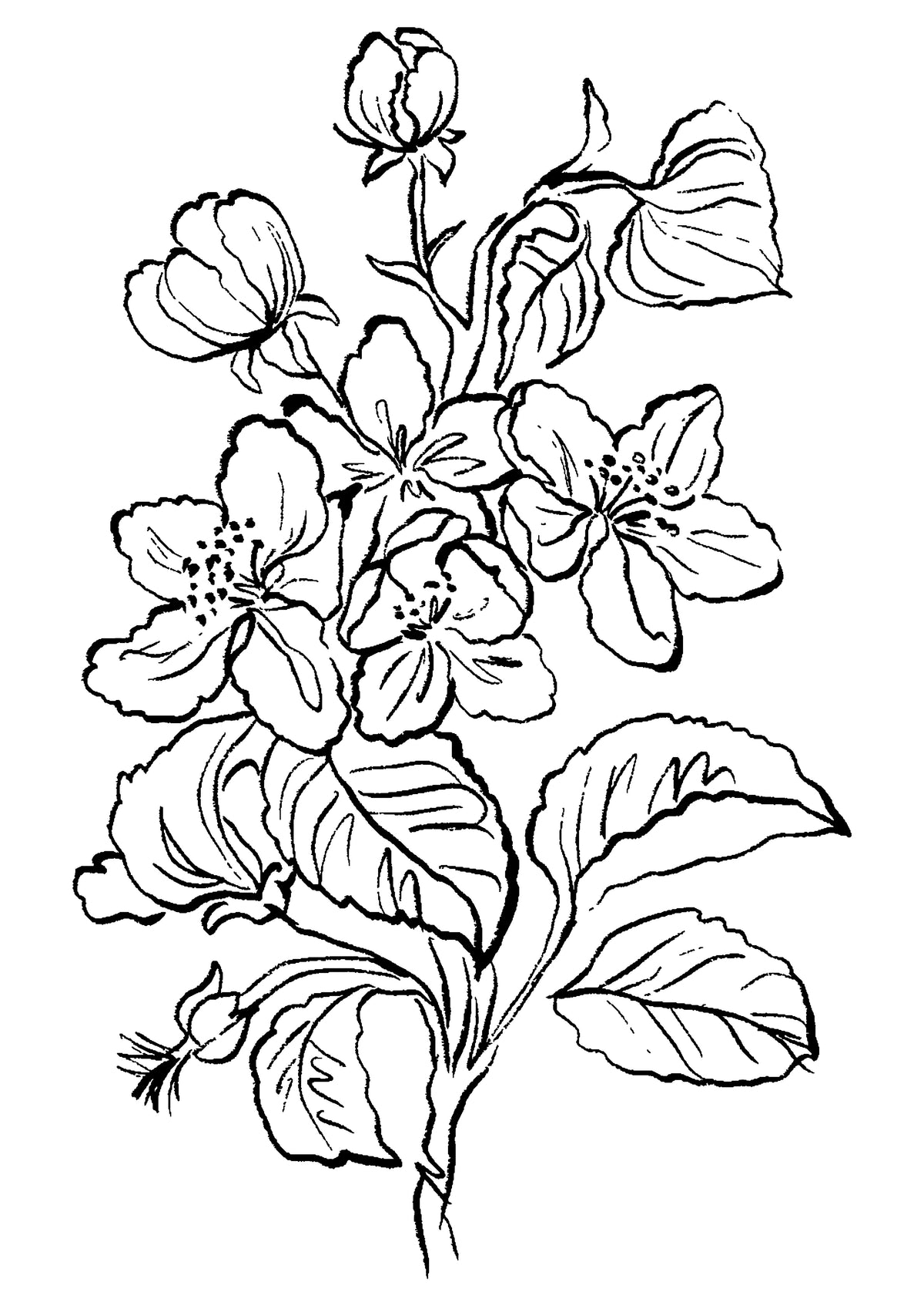 SENT Studio - Blooming Flowers Poster No. 24