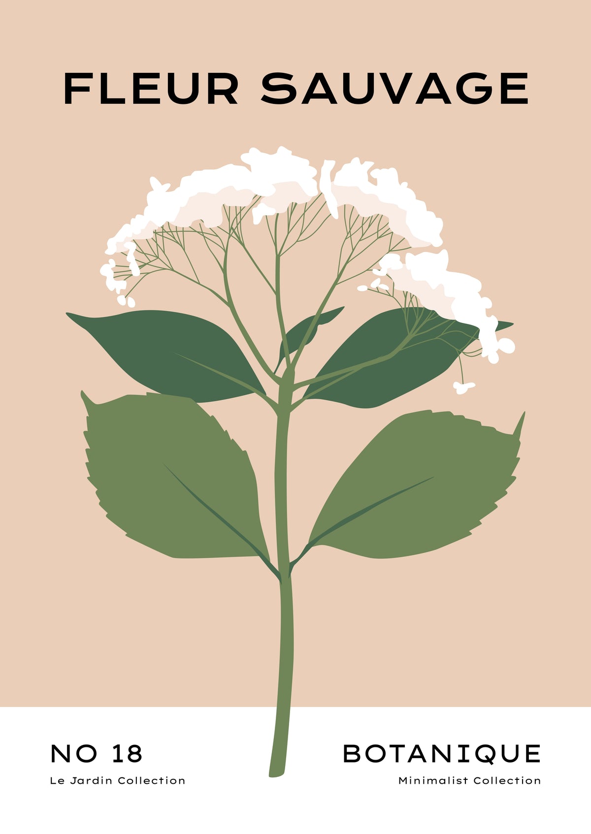 SENT Studio - Botanical Poster No. 36