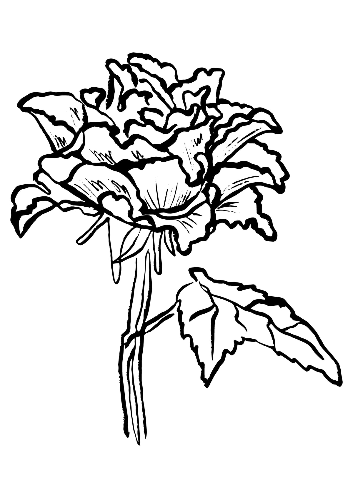 SENT Studio - Blooming Flowers Poster No. 21