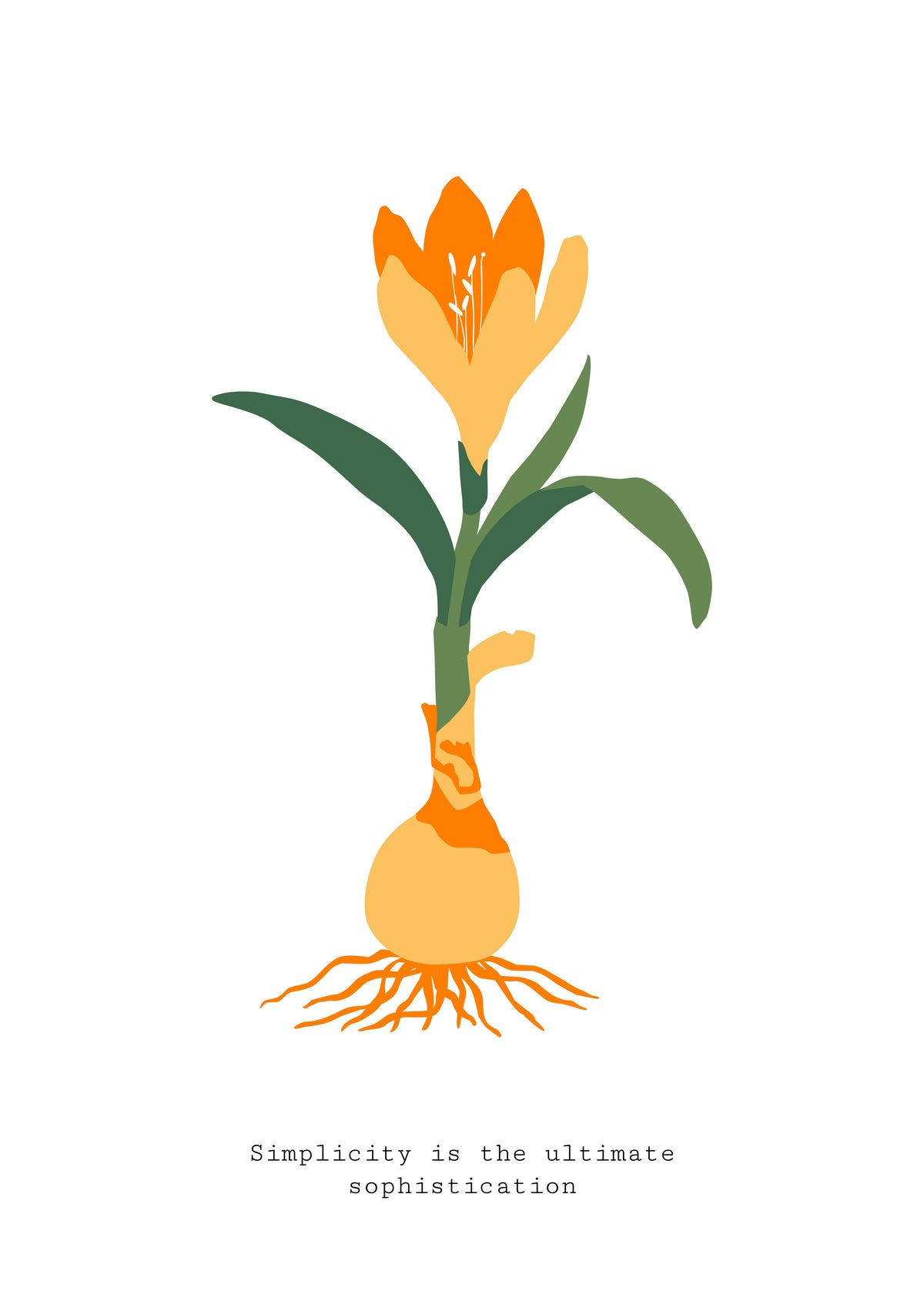 SENT Studio - Botanical Poster No. 14