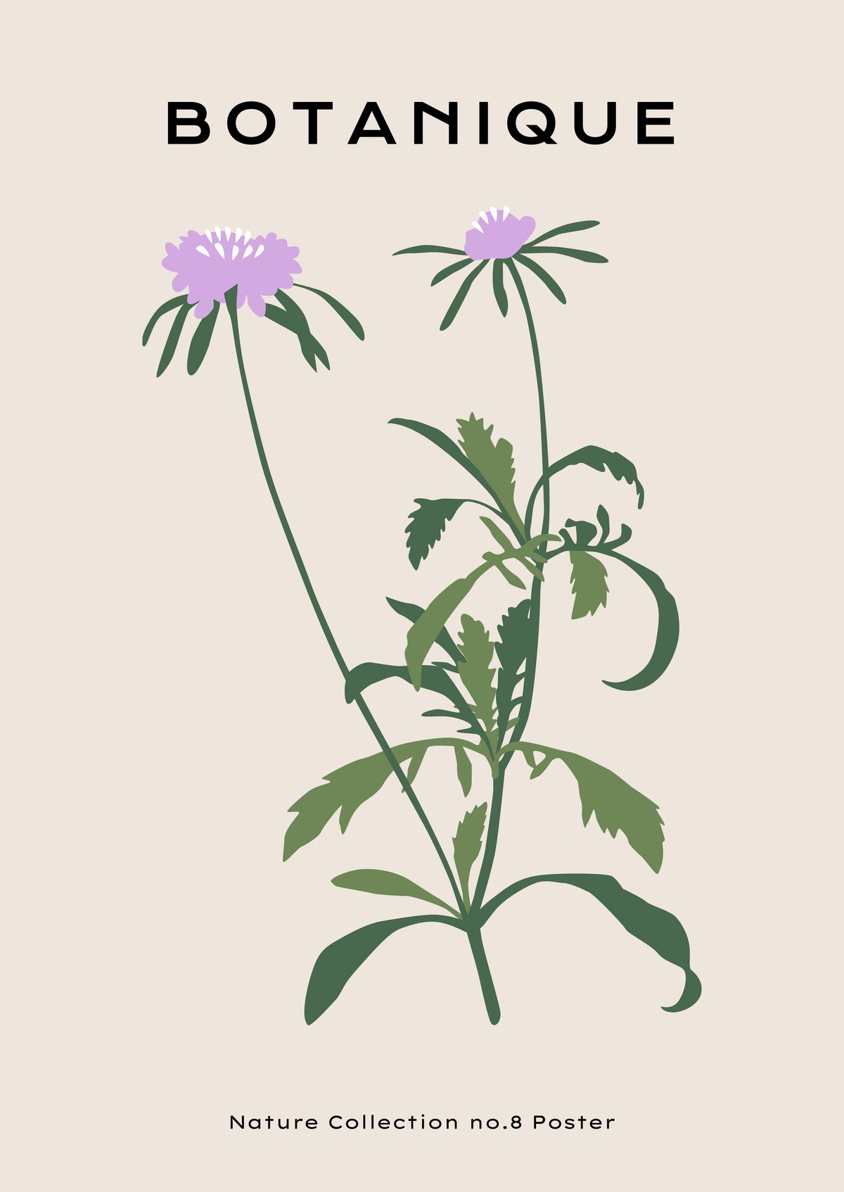 SENT Studio - Botanical Poster No. 53