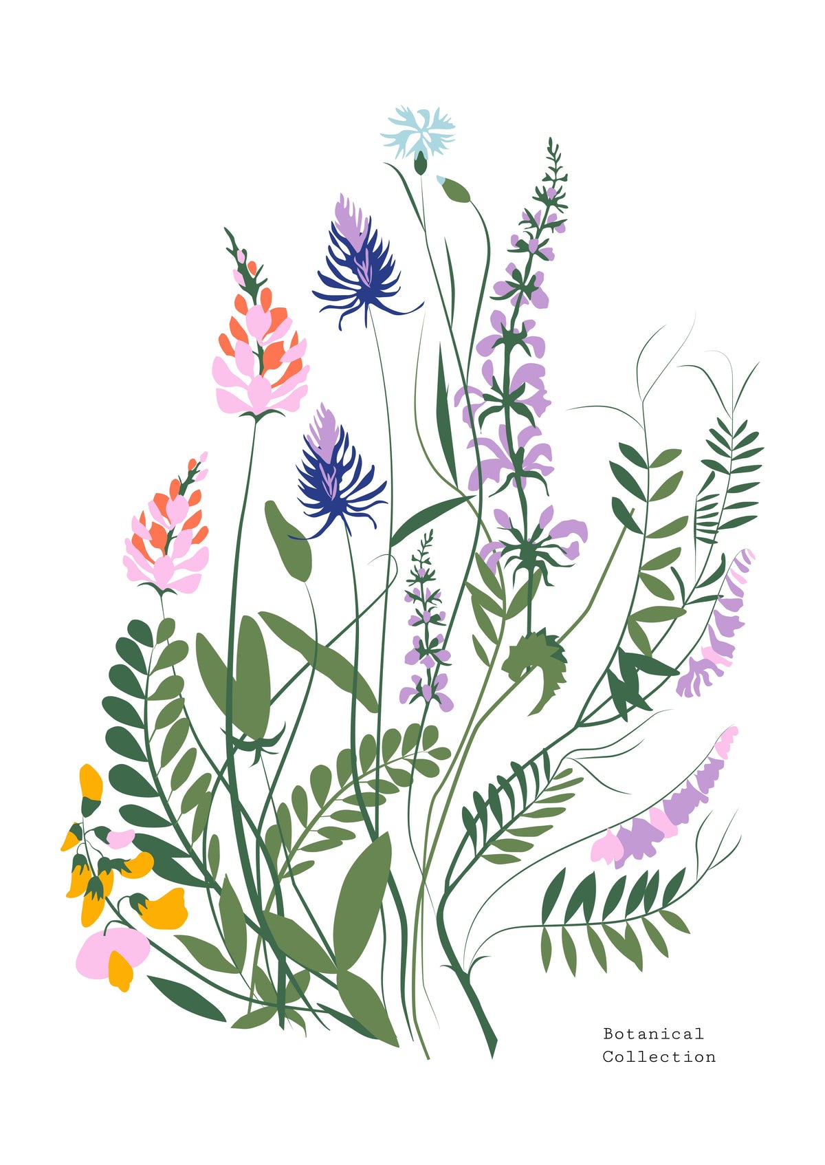 SENT Studio - Botanical Poster No. 19