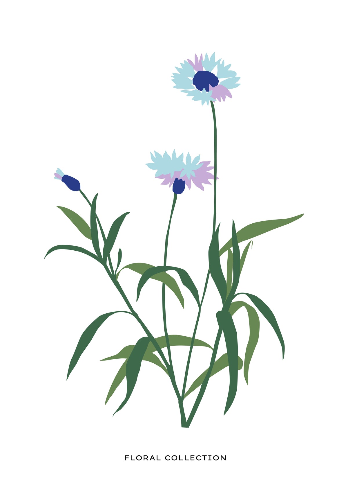SENT Studio - Botanical Poster No. 31