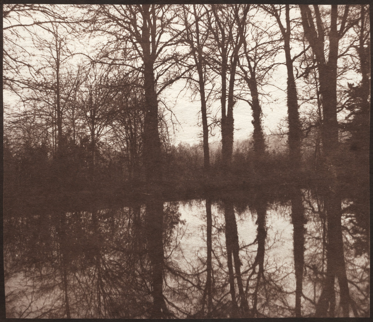 William Henry Fox Talbot - Winter Trees Reflected in a Pond