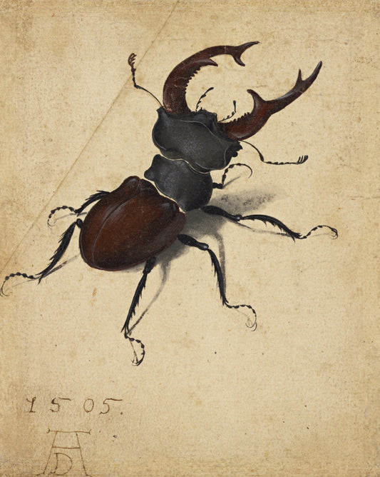Albrecht Dürer — Fine Art Print No. 1
