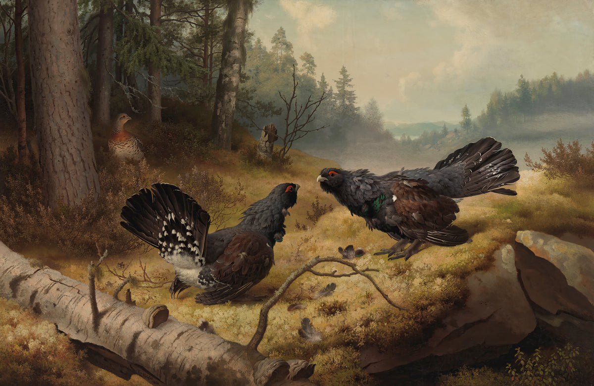 Ferdinand von Wright — Fine Art Print No. 2