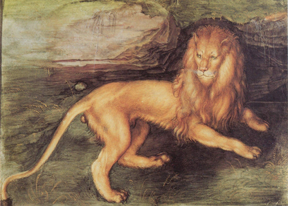 Albrecht Dürer - The Lion