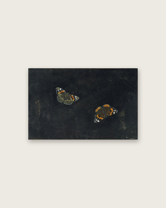 Giovanna Garzoni - Red Admiral Butterflies