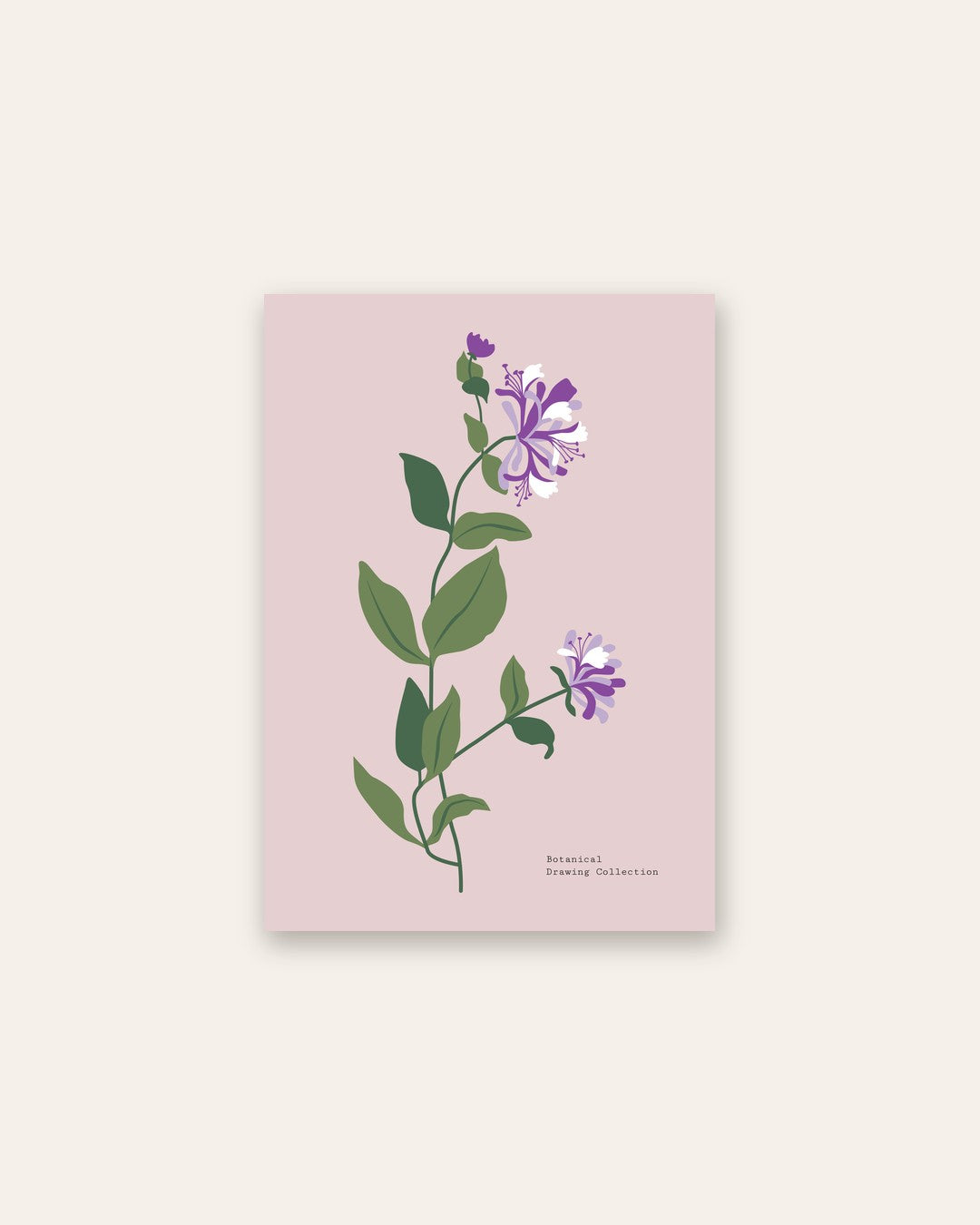 SENT Studio - Botanical Poster No. 25