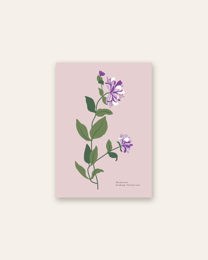 SENT Studio - Botanical Poster No. 25
