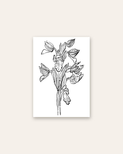 SENT Studio - Blooming Flowers Poster No. 25