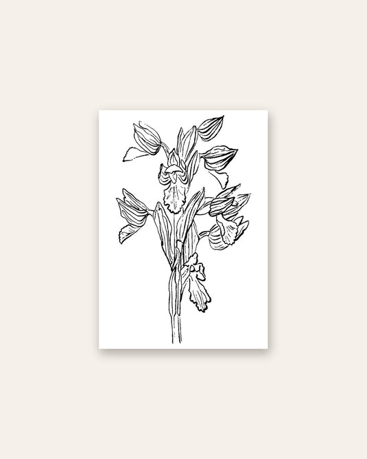 SENT Studio - Blooming Flowers Poster No. 25
