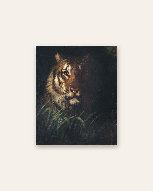 Abbott Handerson Thayer - Tiger's Head