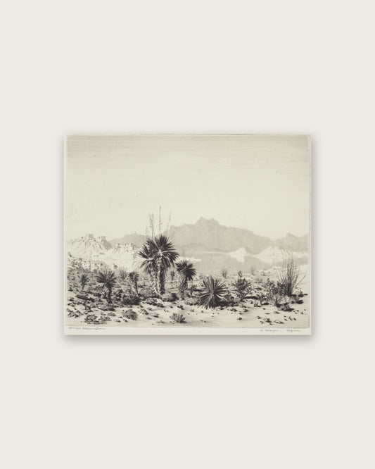 A Mirage, Arizona