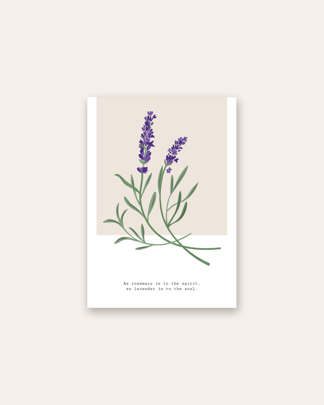 SENT Studio - Botanical Poster No. 1