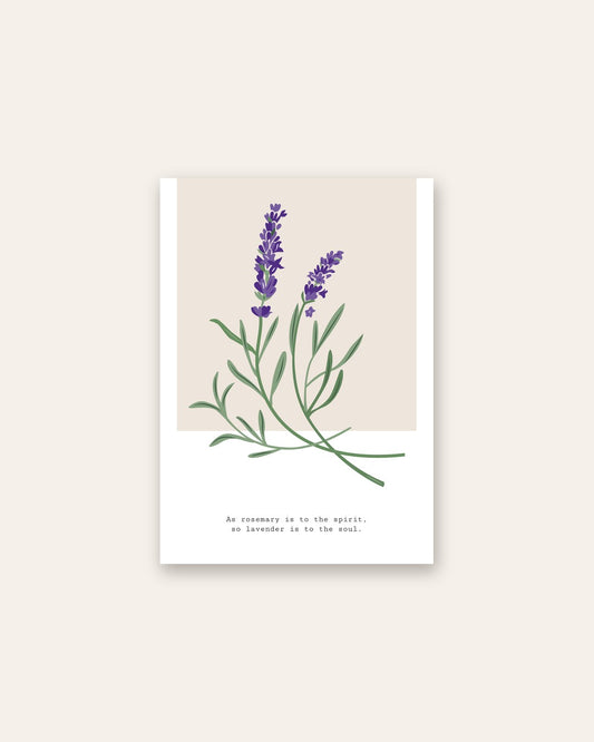 SENT Studio - Botanical Poster No. 1