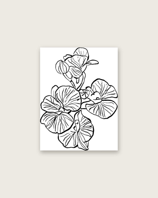 SENT Studio - Blooming Flowers Poster No. 8