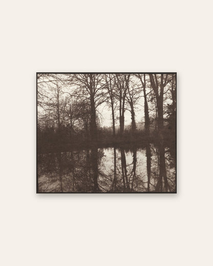 William Henry Fox Talbot - Winter Trees Reflected in a Pond