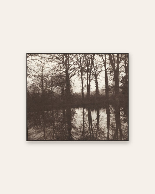 William Henry Fox Talbot - Winter Trees Reflected in a Pond