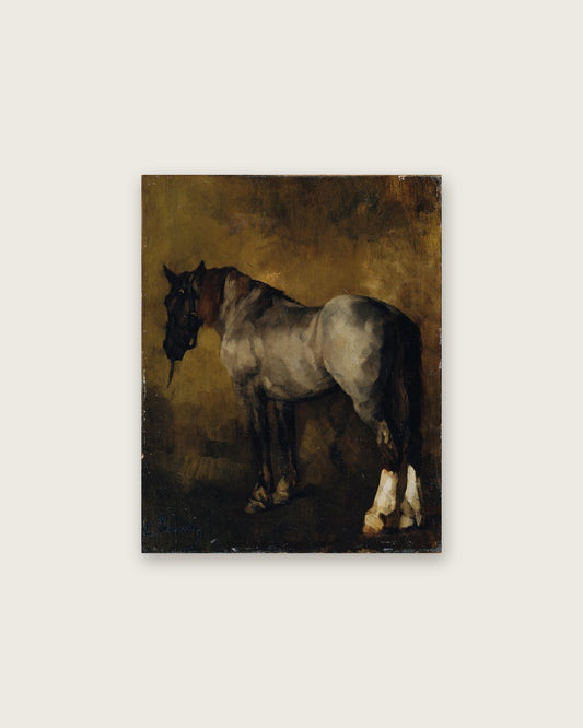 Carl Schuch - Grey Horse