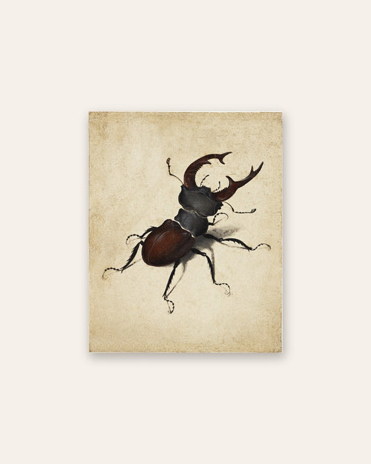 Renaissance Masters - Renaissance Masterpiece No. 212