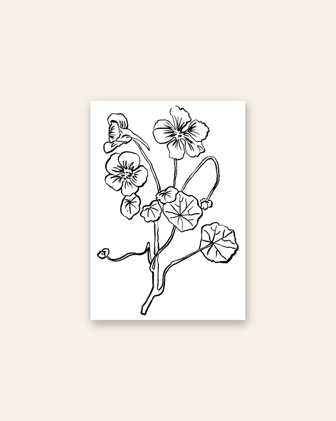SENT Studio - Blooming Flowers Poster No. 28