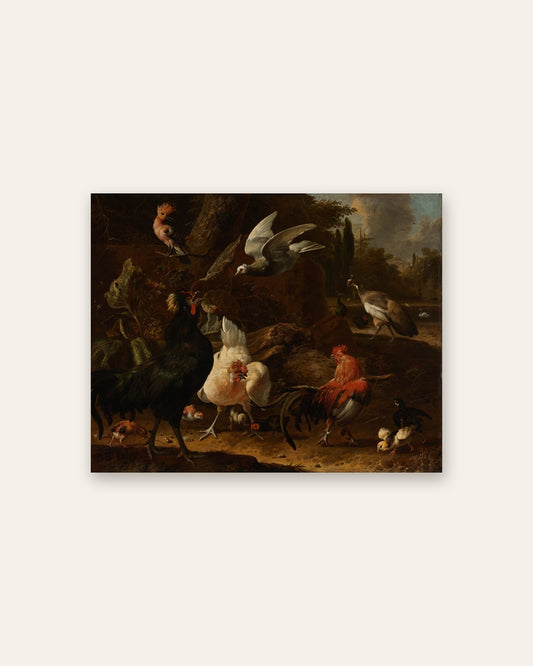 Melchior d'Hondecoeter - Farmyard Fowl