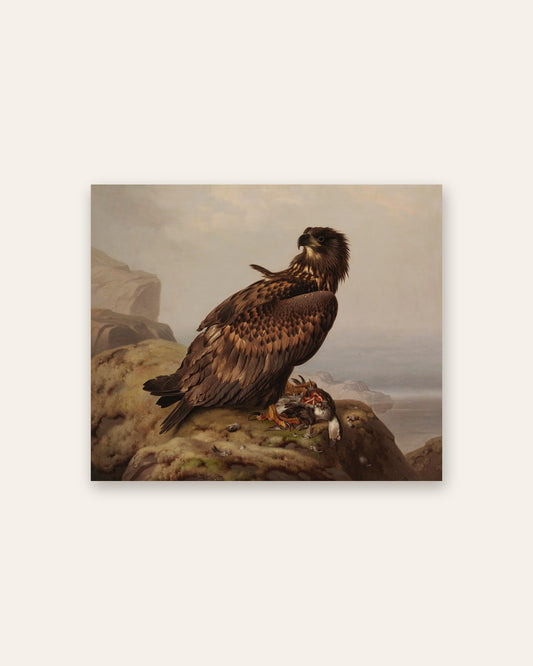 Ferdinand von Wright - Young Eagle on a Cliff