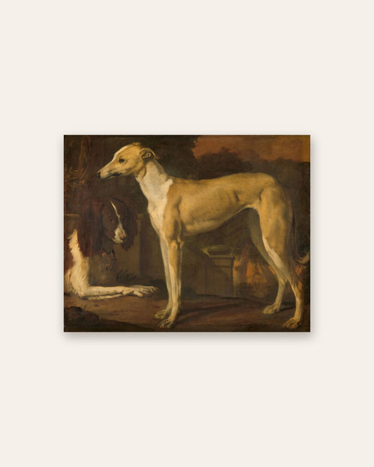 Jan Weenix - Whippet and Spaniel
