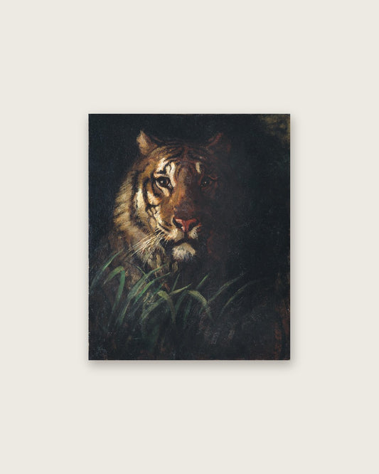 Abbott Handerson Thayer - Tiger's Head