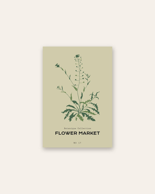 SENT Studio - Botanical Poster No. 8