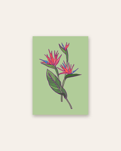 SENT Studio - Flower Poster No. 21