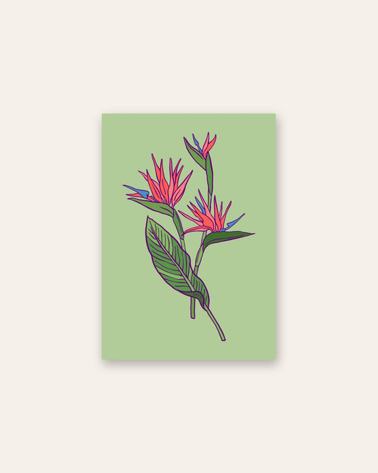 SENT Studio - Flower Poster No. 21