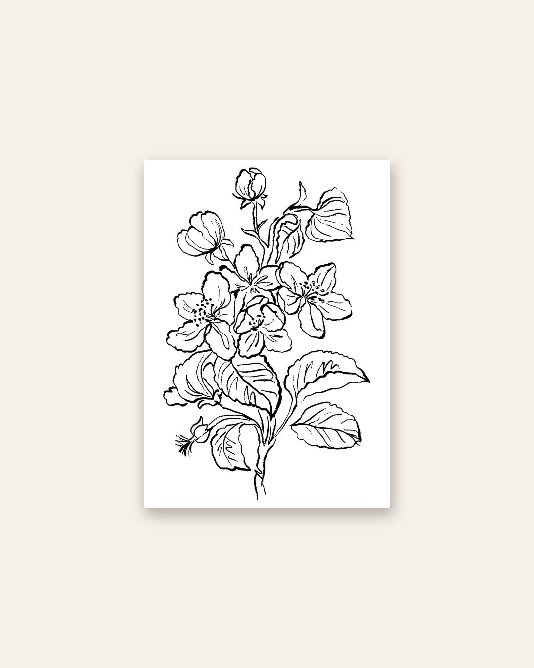 SENT Studio - Blooming Flowers Poster No. 24