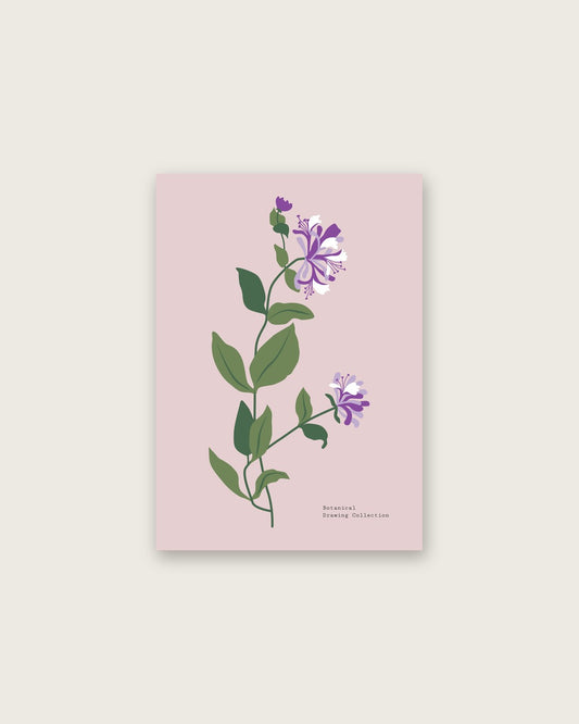 SENT Studio - Botanical Poster No. 25
