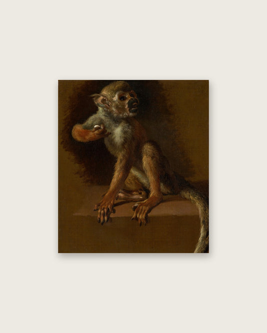 Jan Weenix - The Monkey