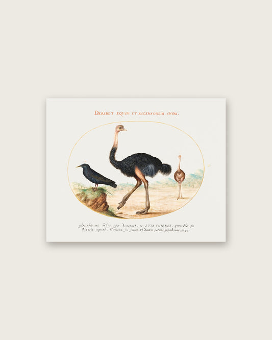 Renaissance Masters - Renaissance Masterpiece No. 354