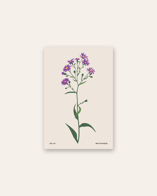 SENT Studio - Botanical Poster No. 6