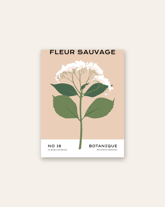 SENT Studio - Botanical Poster No. 36