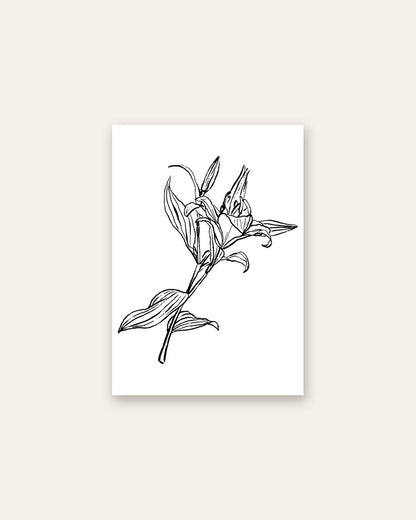 SENT Studio - Blooming Flowers Poster No. 13