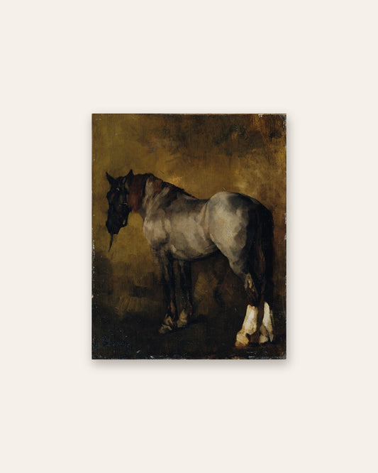 Carl Schuch - Grey Horse
